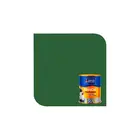 Tinta Novacor Piso 0,9L Verde Sherwin