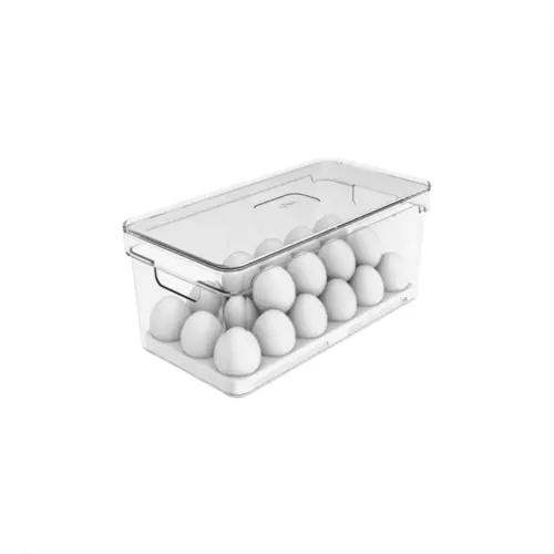 ORGANIZADOR DE OVOS 36UN 150 NATURAL CLEAR FRESH OU