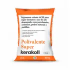 Argamassa Interna/Externa ACIII Polivalente Super Cinza 20kg Kerakoll